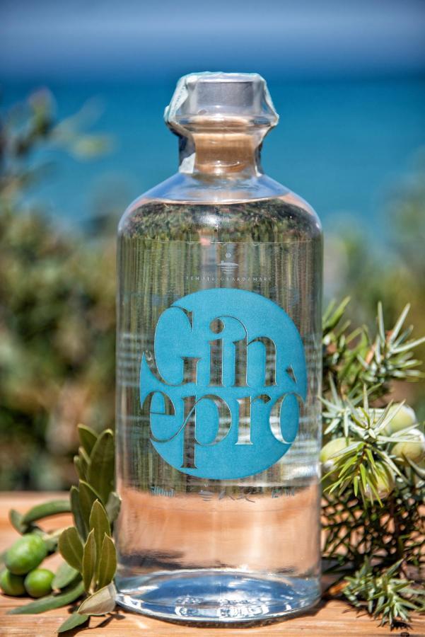 Appartamenti Riva Degli Etruschi サン·ヴィンチェンツォ エクステリア 写真