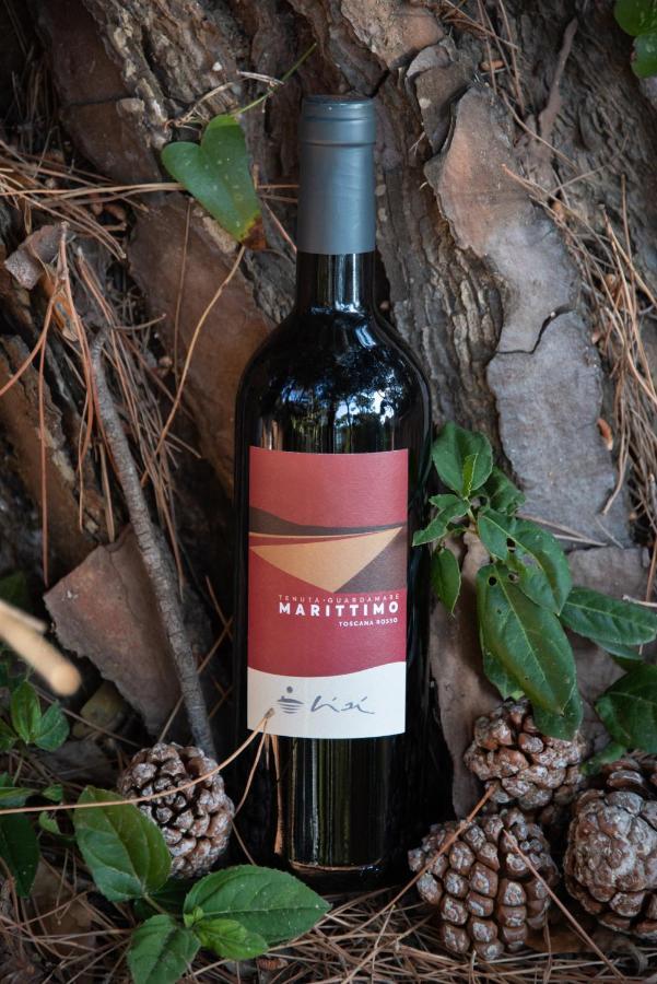 Appartamenti Riva Degli Etruschi サン·ヴィンチェンツォ エクステリア 写真